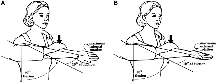 References in An anatomic evaluation of the active compression test - Journal of Shoulder and Elbow Surgery